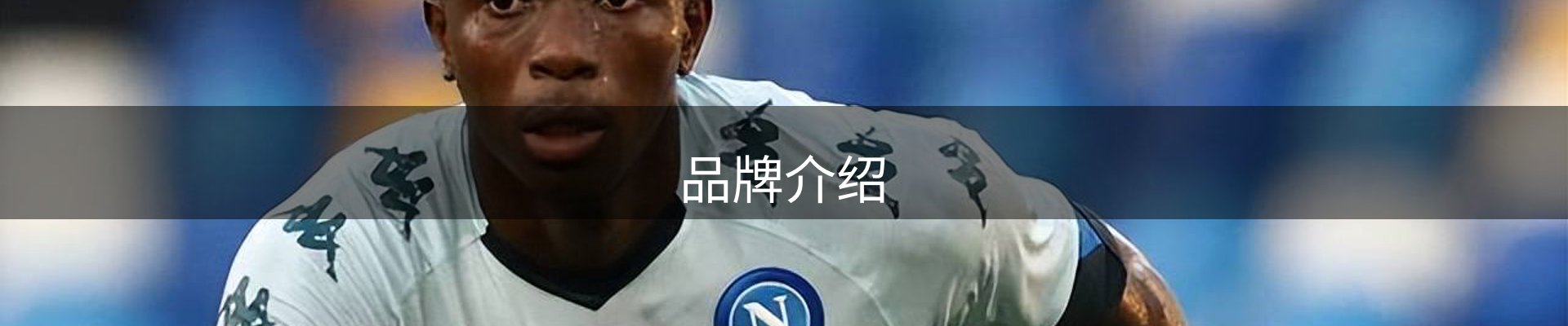 品牌介绍